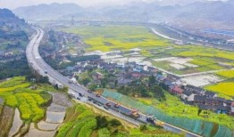 重庆爆料南川新闻视频,重庆最新爆料视频揭秘