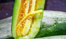 吃瓜网红黄,吃瓜网红的崛起与影响