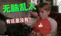 马斯克精彩爆料视频播放,精彩爆料视频背后的科技与未来