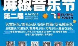 邯郸音乐节最新爆料信息,璀璨星光，音乐狂欢即将启幕！