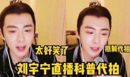 刘宇宁后续爆料视频在线观看,事件真相与幕后黑幕