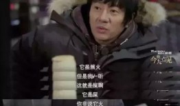 网友爆料郑钧视频大全,网友爆料，精彩瞬间大盘点