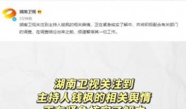 娱乐吃瓜酱文件,揭秘娱乐圈幕后故事