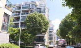 静安小区爆料事件最新进展,最新调查进展及后续影响揭秘