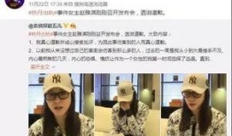 吴皮村最新爆料新闻视频,揭秘村庄背后惊人真相！