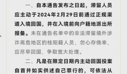 缅北最新爆料消息今天,最新爆料揭示神秘势力动向
