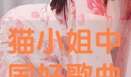 小姐手机在线观看国语,小姐的私密世界