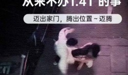 打架视频爆料大全最新,一网打尽街头冲突瞬间