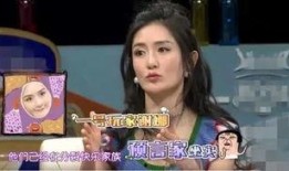 娱乐圈爆爆料刘亦菲,娱乐圈的璀璨明珠，揭秘她的星途历程