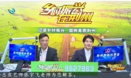 荆州电视台新闻爆料,揭露当地民生问题背后的真相