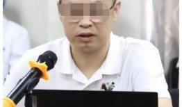 杨波妻子爆料出轨视频,真相背后引发热议