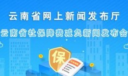 云南新闻最新爆料,揭秘神秘事件背后的真相