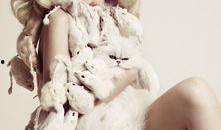 迪希娅爆料最新,揭秘娱乐圈幕后真相