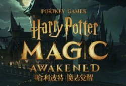 哈利波特最新卡牌爆料卡,卡牌新篇章——揭秘神秘爆料卡牌的奇幻之旅