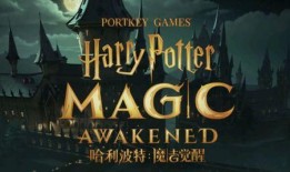 哈利波特最新卡牌爆料卡,卡牌新篇章——揭秘神秘爆料卡牌的奇幻之旅