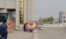 石家庄晋州最新爆料,石家庄晋州热点事件追踪