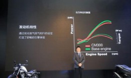 国产wing最新爆料,揭秘神秘性能与未来布局