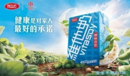 维他奶新闻爆料最新消息,揭秘公司最新发展及市场布局