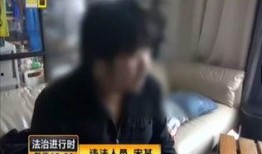 内鬼爆料富人被抓视频播放,富人被抓视频曝光，真相令人震惊