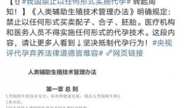 最新娱乐博主爆料事件,揭秘娱乐圈惊人内幕！