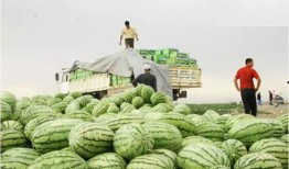 南北爆料社西瓜视频,揭秘娱乐圈幕后故事