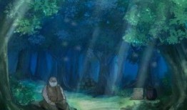 秘密森林手机在线观看,在线揭秘神秘森林的惊悚悬疑之旅