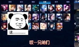 兄弟们王者爆料视频,兄弟们最新视频内容大揭秘！