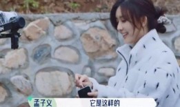 扒爷爆料孟子义视频,扒爷揭秘背后真相