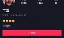 爆料北京博主视频大全